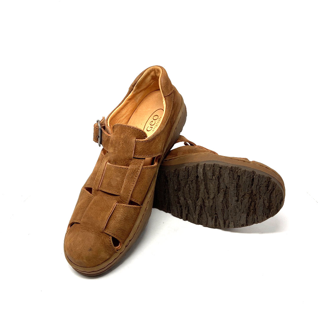 Leo - Pasadena Sole